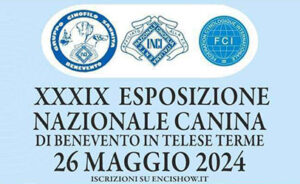 XXXIX Esposizione Nazionale Canina - Benevento