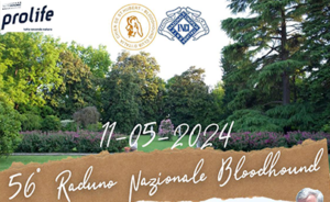 Raduno Nazionale Bloodhound - Padova